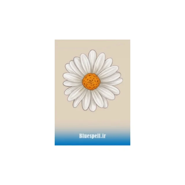 استیکر Little daisy