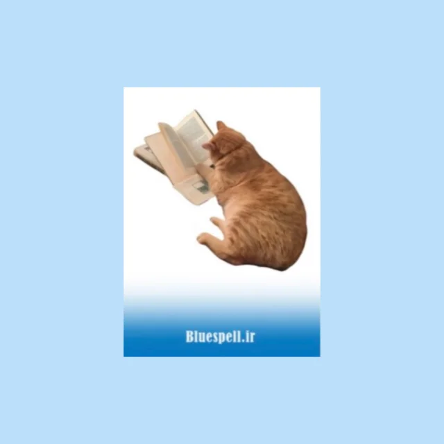 استیکر Curious Reader